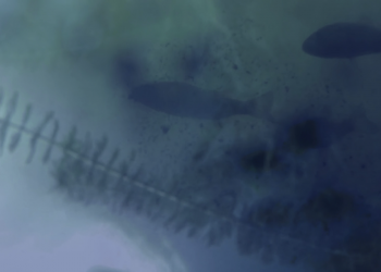 El Cruce. Cuando el dolor es más profundo que el océano