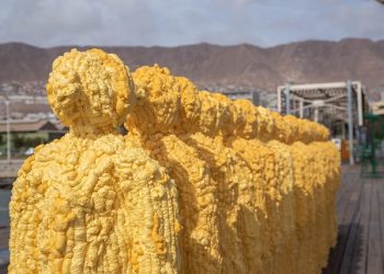 Bienal en Antofagasta