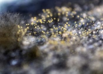 La degradación como espacio de existencia