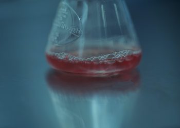 Premio Internacional de Fotografía Sony 2022