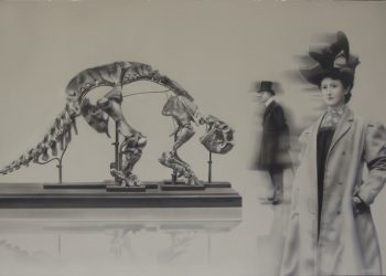 Remate Museo Sívori