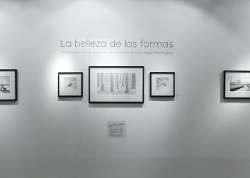 La belleza de las formas: el despertar poético de la mirada