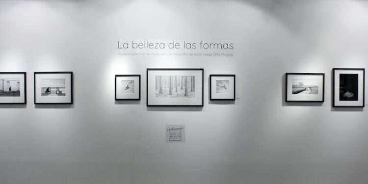 La belleza de las formas: el despertar poético de la mirada