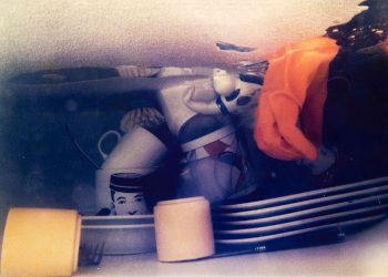 Lo indomesticado doméstico: artistas de los noventa