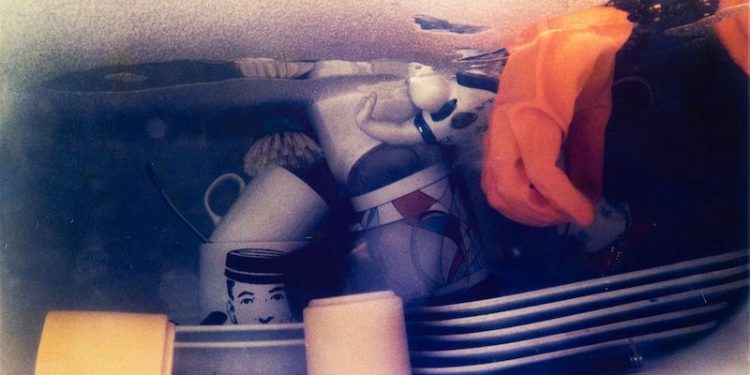 Lo indomesticado doméstico: artistas de los noventa
