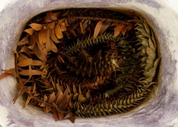 Las oferentes: el universo mitológico de Carla Grunauer