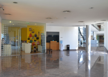 Proyectos Expositivos 2022