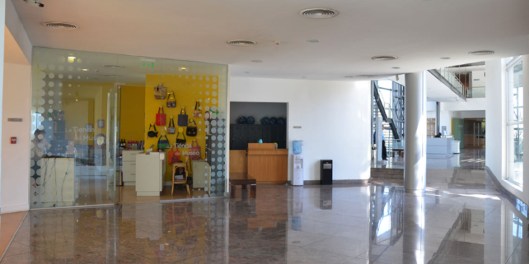 Proyectos Expositivos 2022