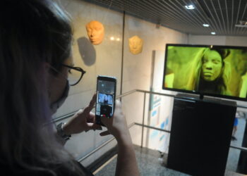 Proyectos Expositivos 2022