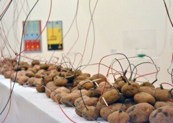 Premio Arte y Tecnología