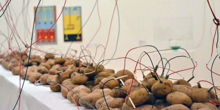 Premio Arte y Tecnología