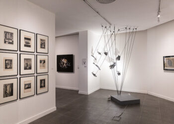 Premio Salón Nacional de Artes Visuales