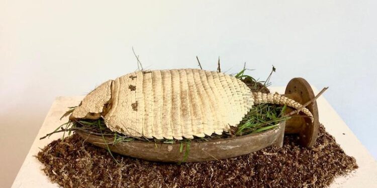 Arte y Naturaleza