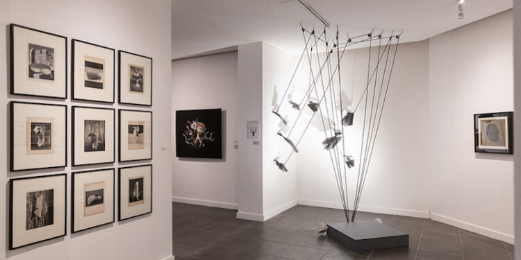 Prórroga para el Salón Nacional de Artes Visuales