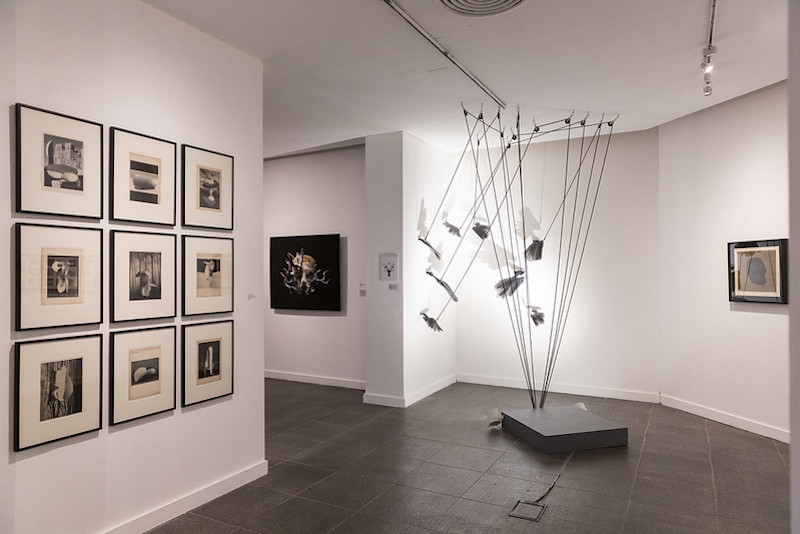 Prorroga para el Salon Nacional de Artes Visuales