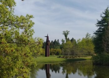 Descentralización desde arte argentino de vanguardia 