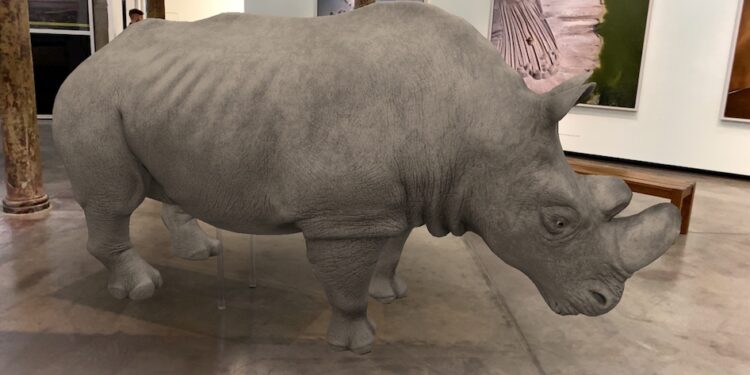 Antropoceno