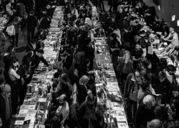 FED – Fellowship program