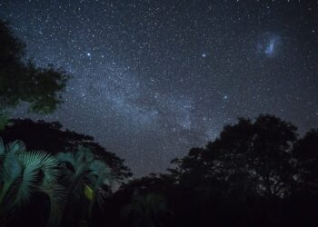 Residencias Artísticas en Parques Nacionales