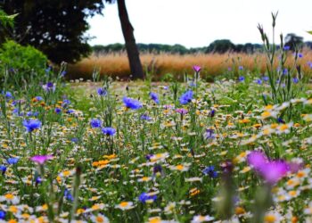Fotografía Digital UE-Argentina