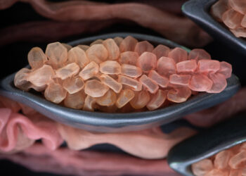 Estados de mutaciones suspendidas