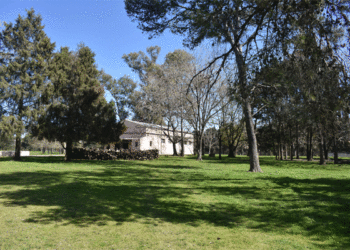 Estilo Pilar, nueva edición