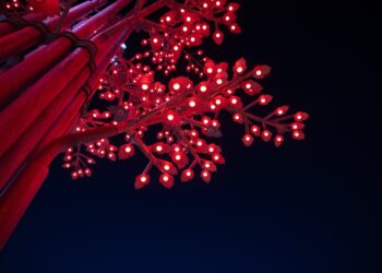 Arbórea Magna: un nuevo hito en la ciudad