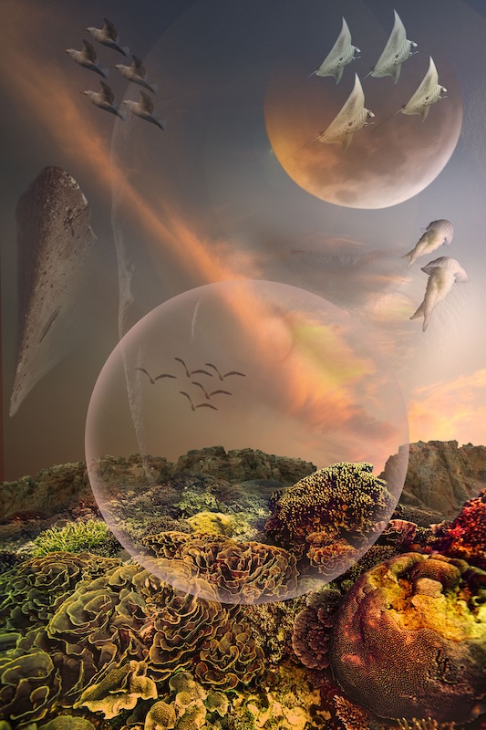 Elisa, 100 años del Surrealismo