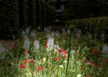 Artistas latinoamericanos en residencia