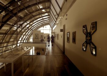 Becas Fundación Ama Amoedo