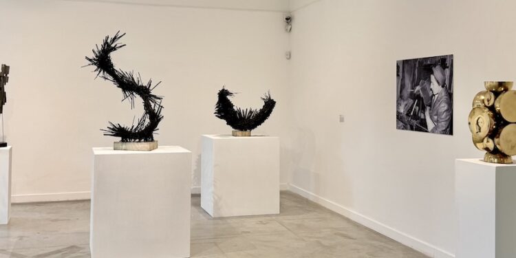 Noemí Gerstein, artista experimental