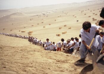 Francis Alÿs en PROA21