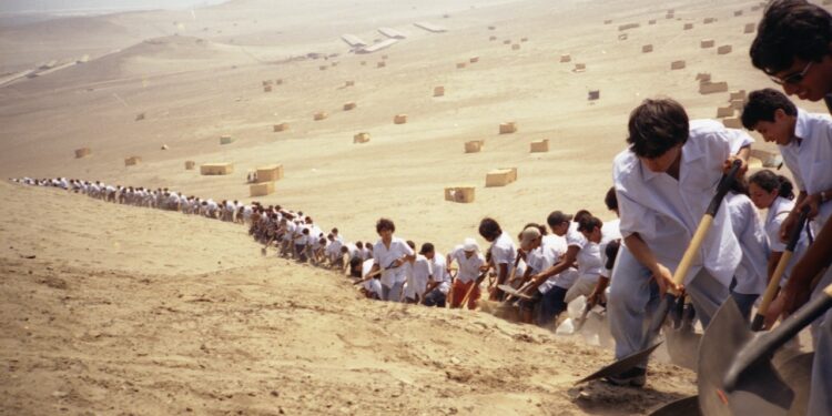 Francis Alÿs en PROA21