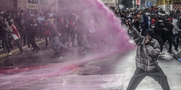 Amantes de la fotografía