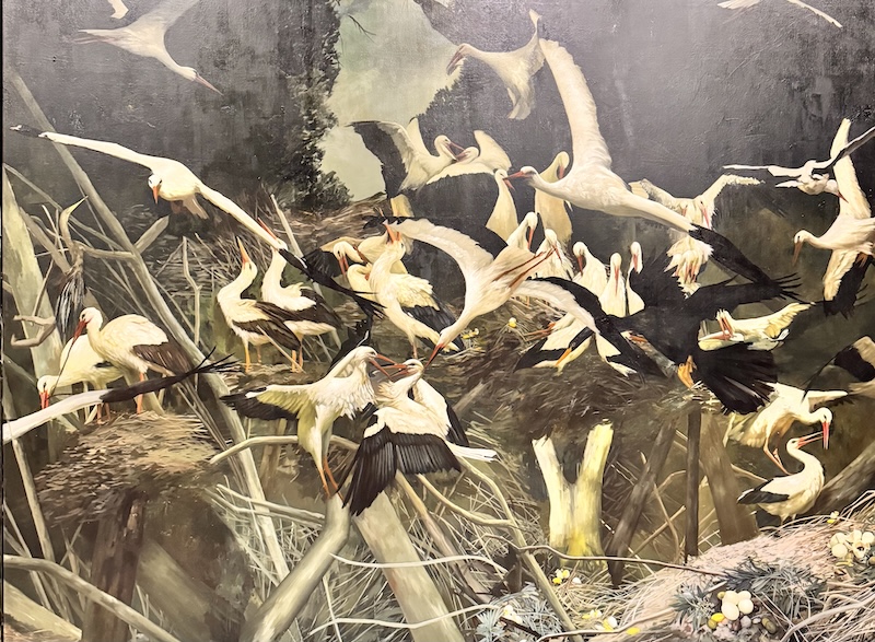 Barrakesh, punto de encuentro