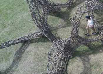 Premio Pinamar Contemporáneo