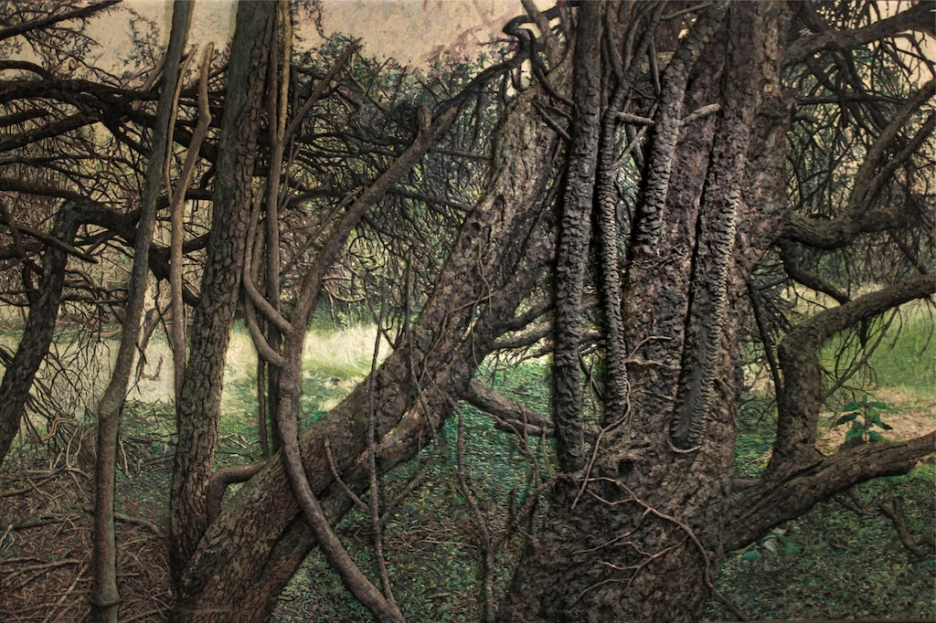 El Museo Franklin Rawson abre la temporada