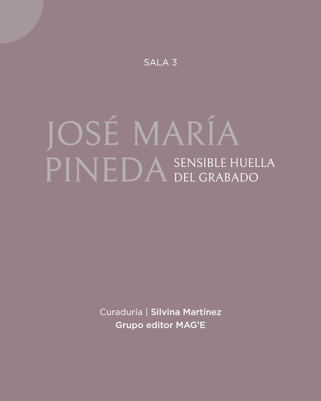 Proyecto grabado en el MPBAFR