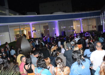 Premio Franklin Rawson a las Artes Visuales